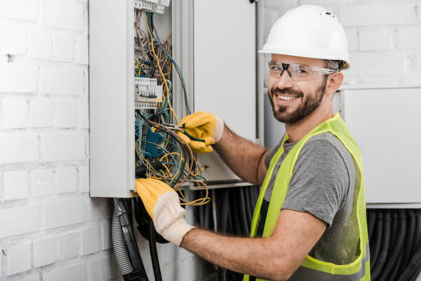 Best Home Electrical Repair  in Agler Estates, FL