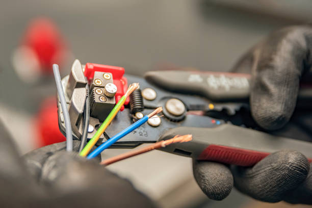 Best Electrician Near Me  in Agler Estates, FL