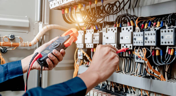 Best Ceiling Fan Installation Electrician  in Agler Estates, FL