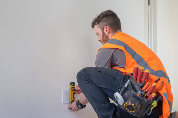 Best Electric Panel Repair  in Agler Estates, FL